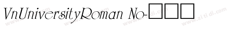VnUniversityRoman No字体转换